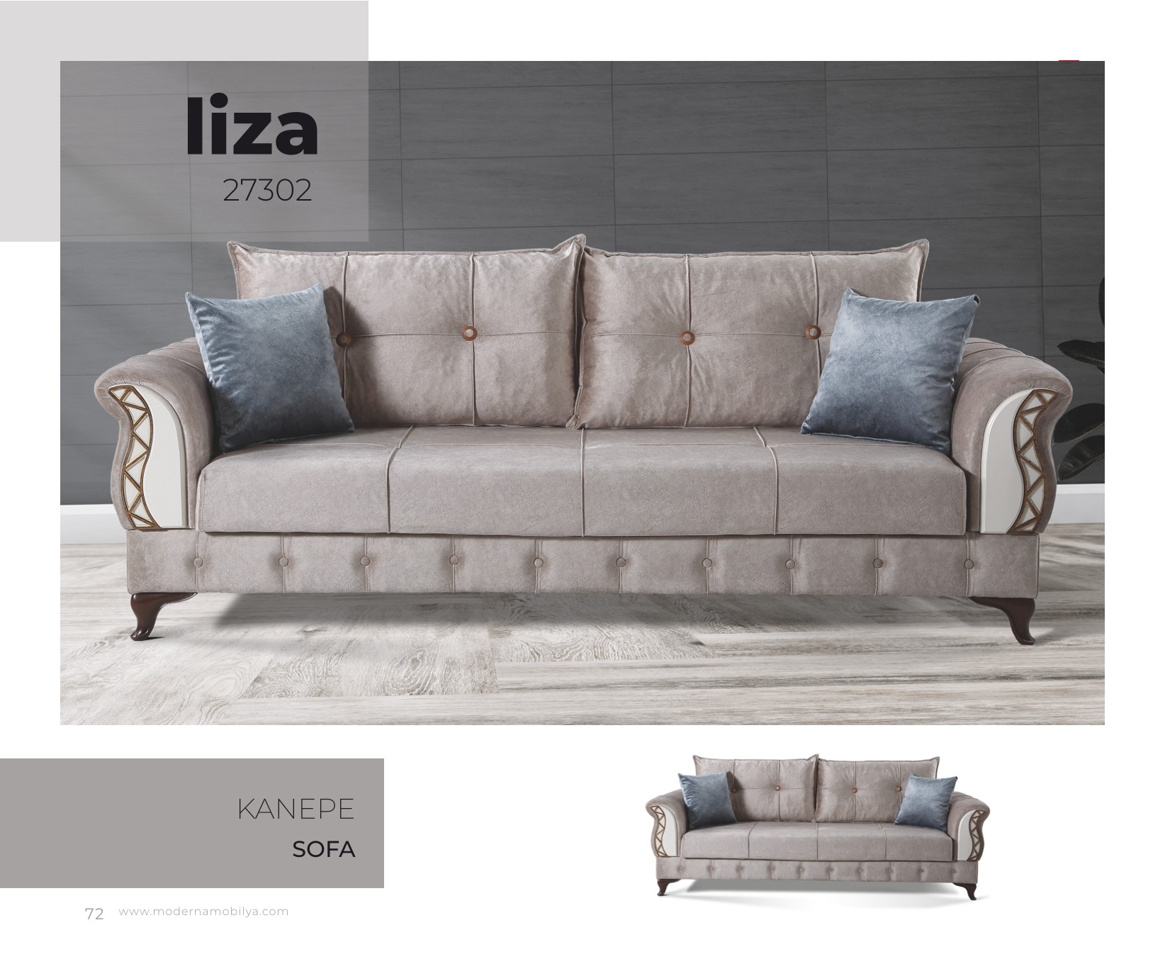 LİZA